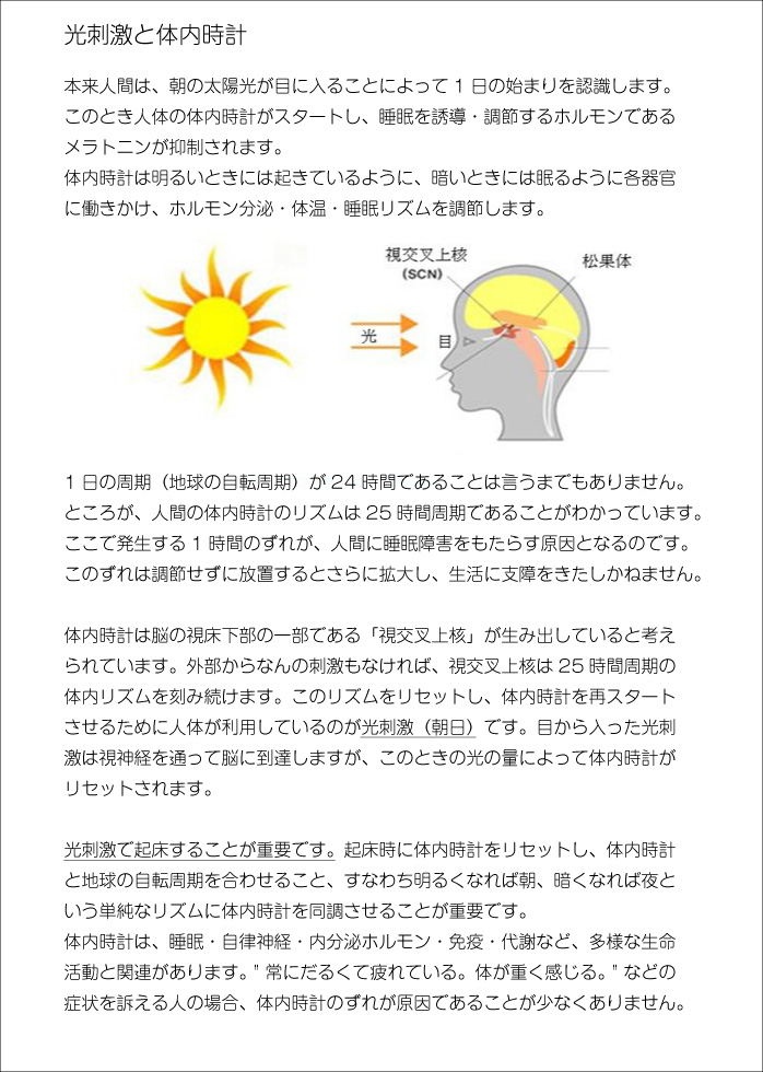 コラム－光刺激と体内時計