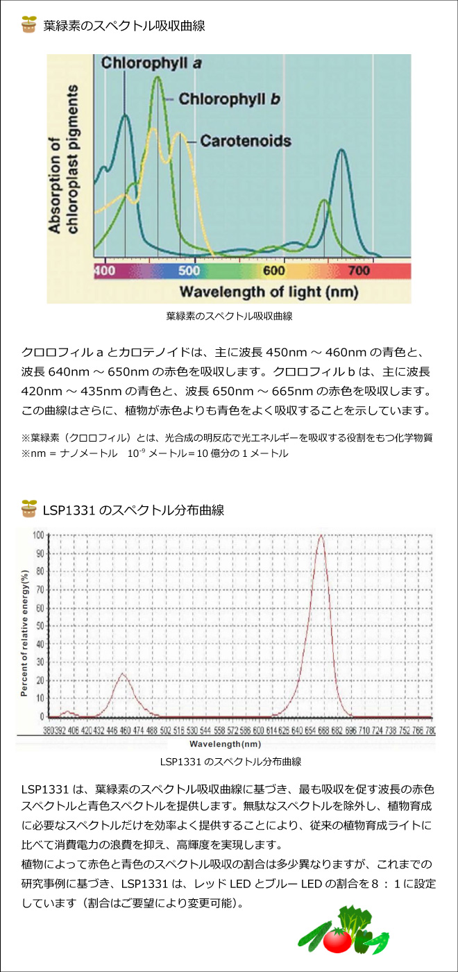 葉緑素のスペクトル吸収曲線